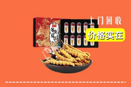 天津津南区回收虫草