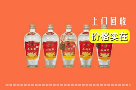 诚信求购:天津津南区高价回收老五粮液